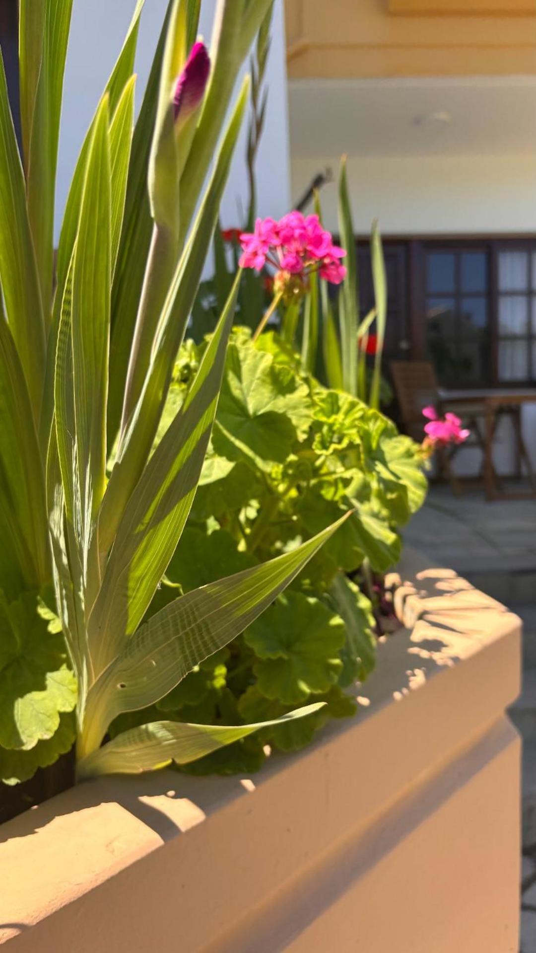 Menelaos Apartments Daráco Kültér fotó